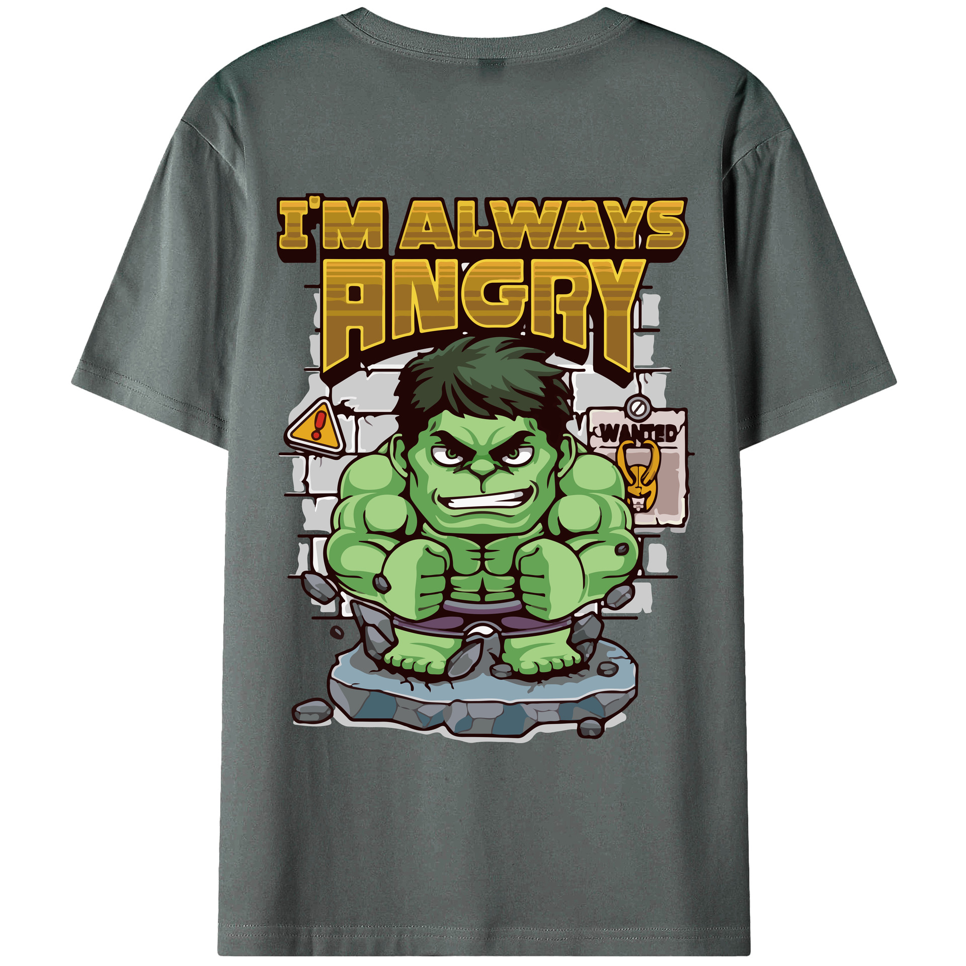 （画像用） アベンジャーズ The Avengers 綿100％ メンズ半袖Tシャツ（バックプリント） 通気性